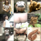 A Japanese video production featuring multiple women being secretly observed while they poop in some public, outdoor location. Next, the cameraman examines their abandoned messes. 45 minutes. 368MB, MP4 file requires high-speed Internet.